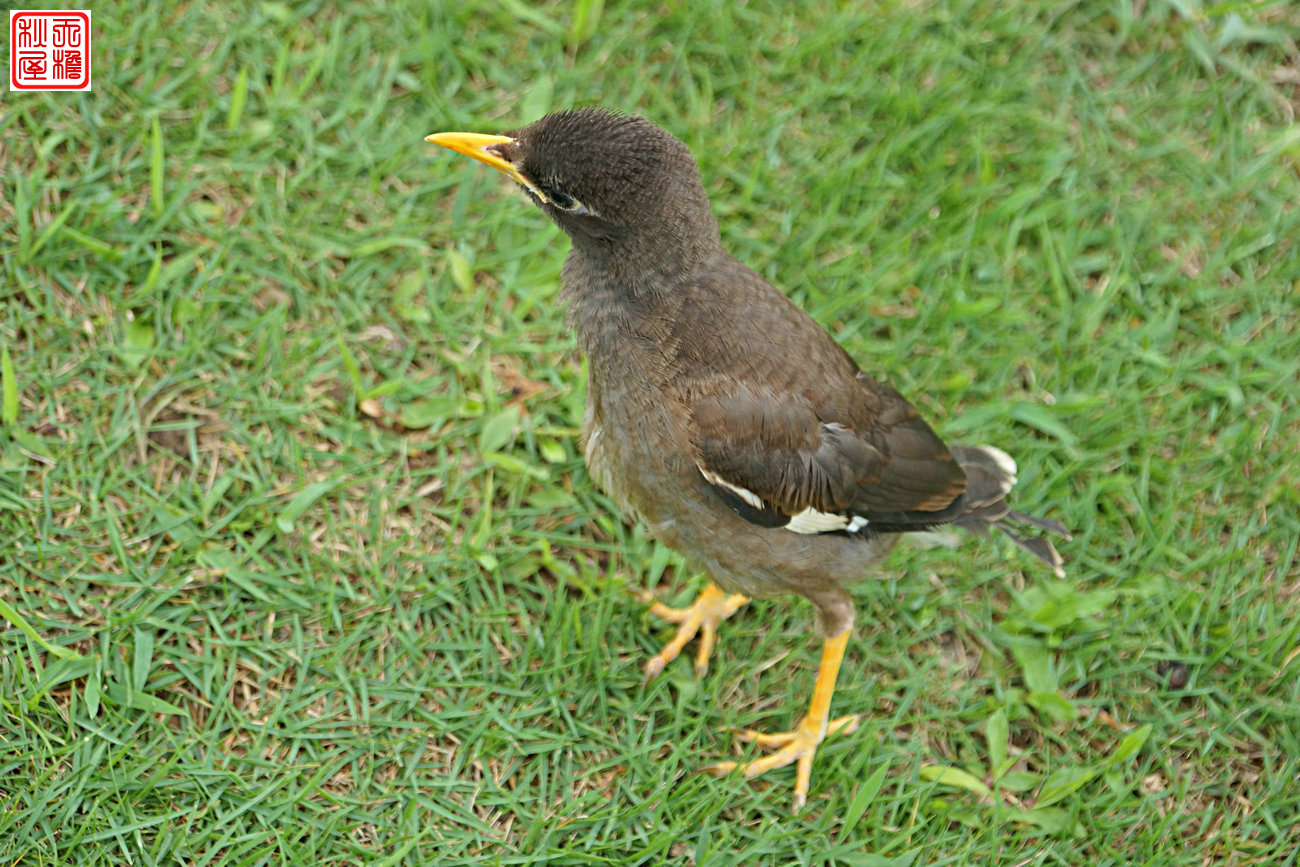 DSC08621.JPG