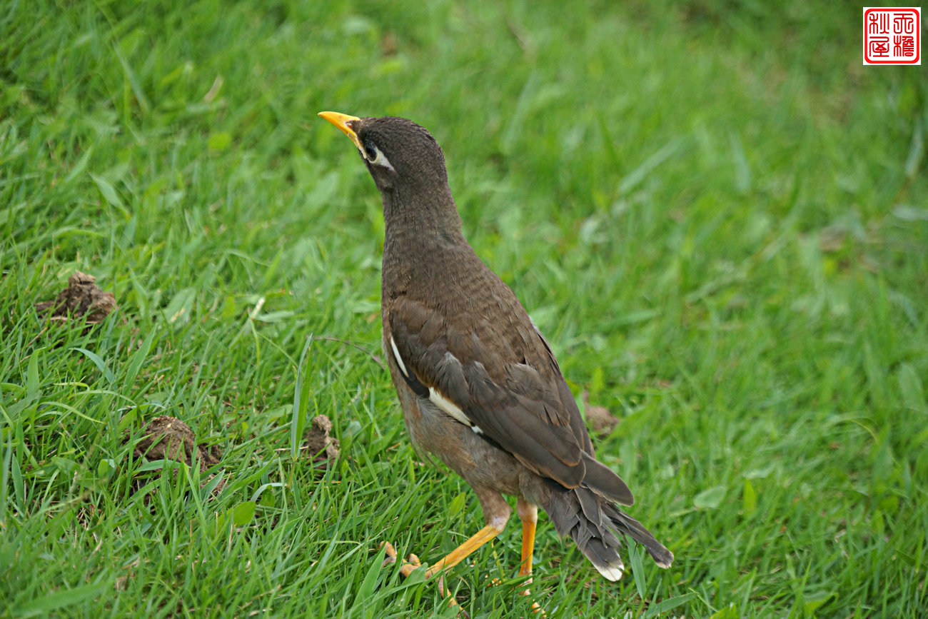 DSC08674.JPG