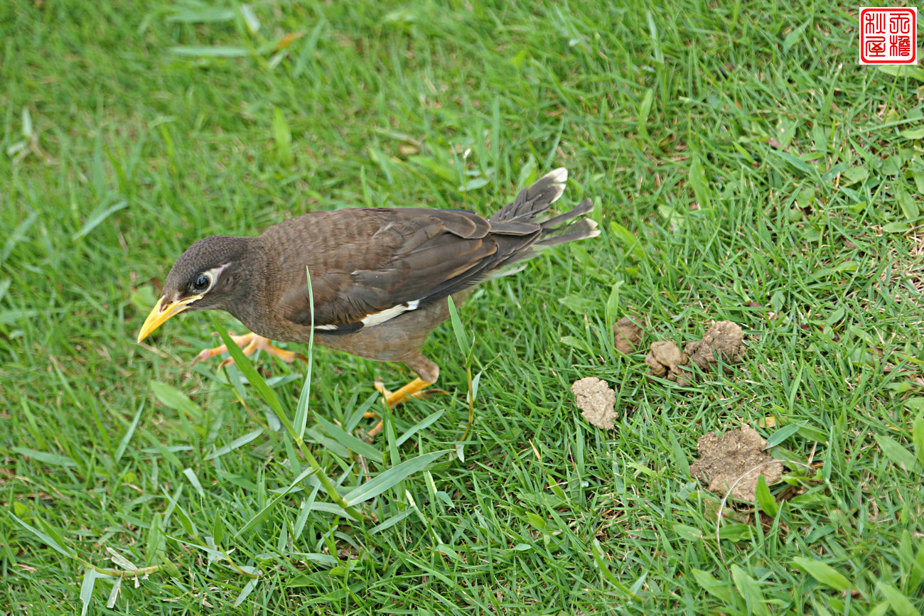 DSC08635.JPG
