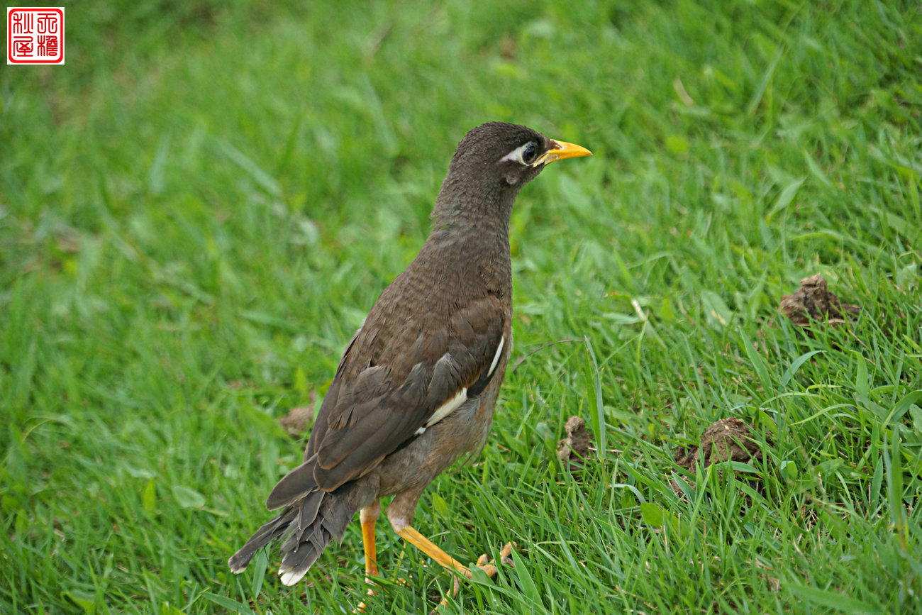DSC08675.JPG