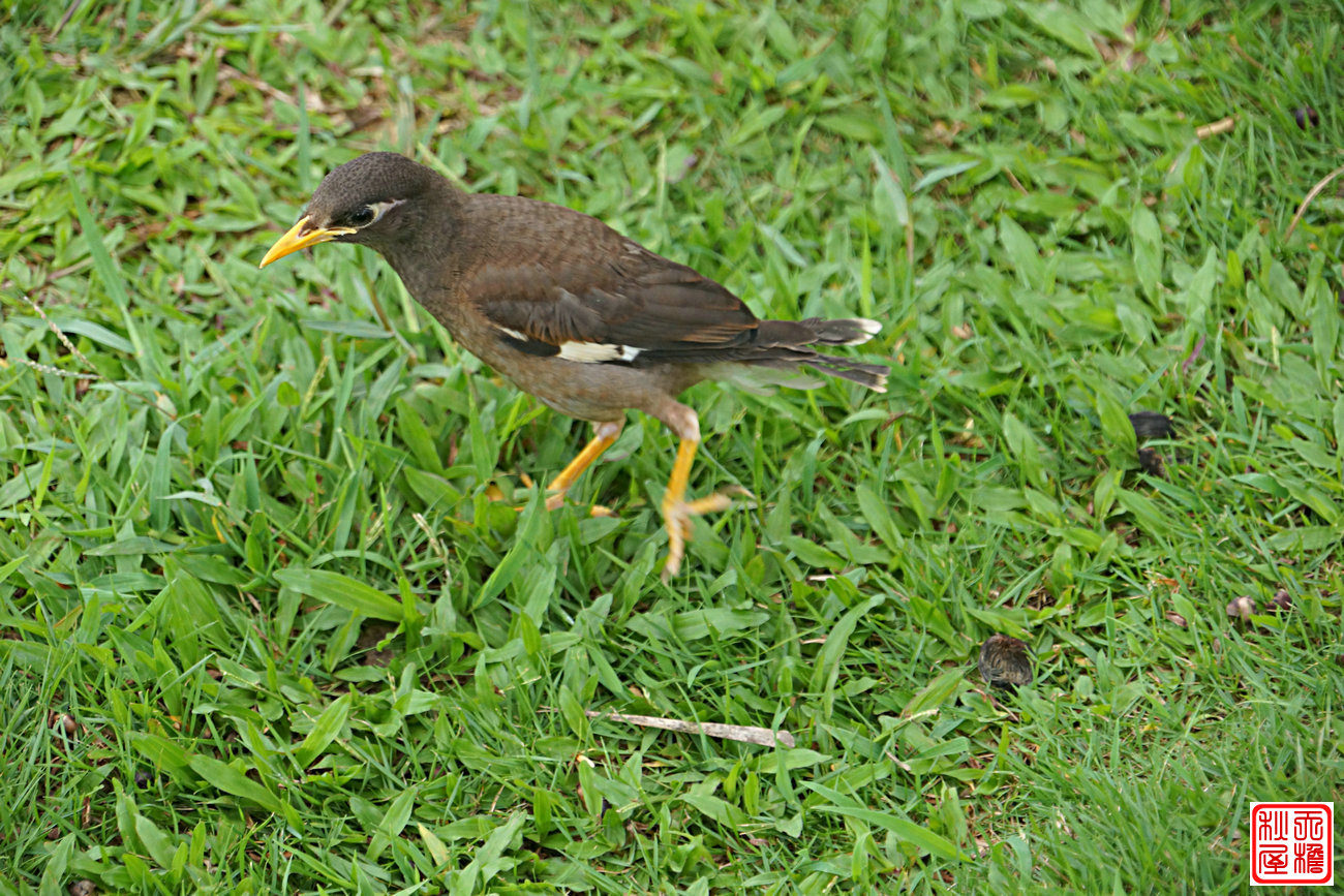 DSC08688.JPG
