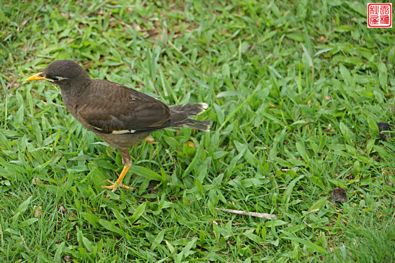 DSC08689.JPG