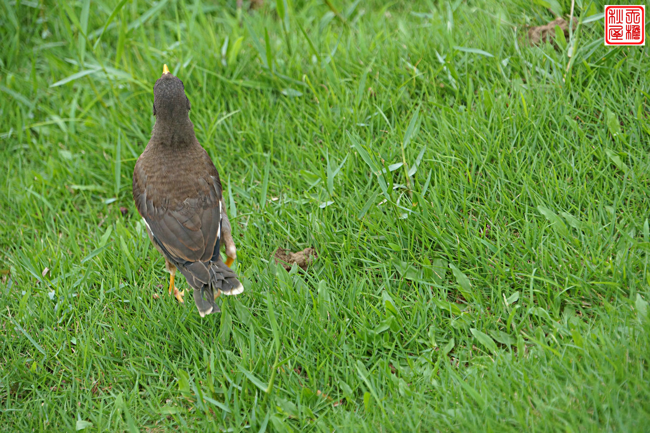 DSC08704.JPG