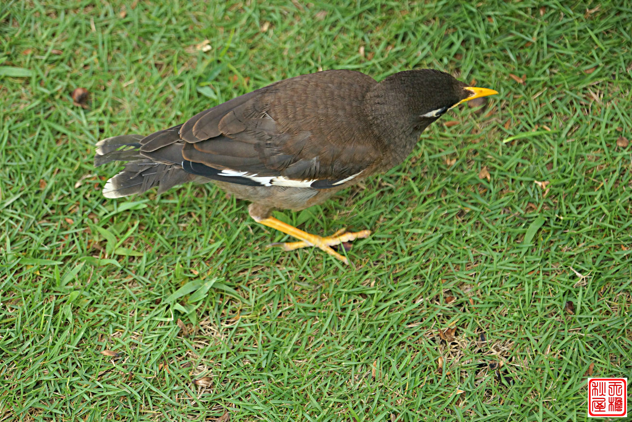 DSC08722.JPG