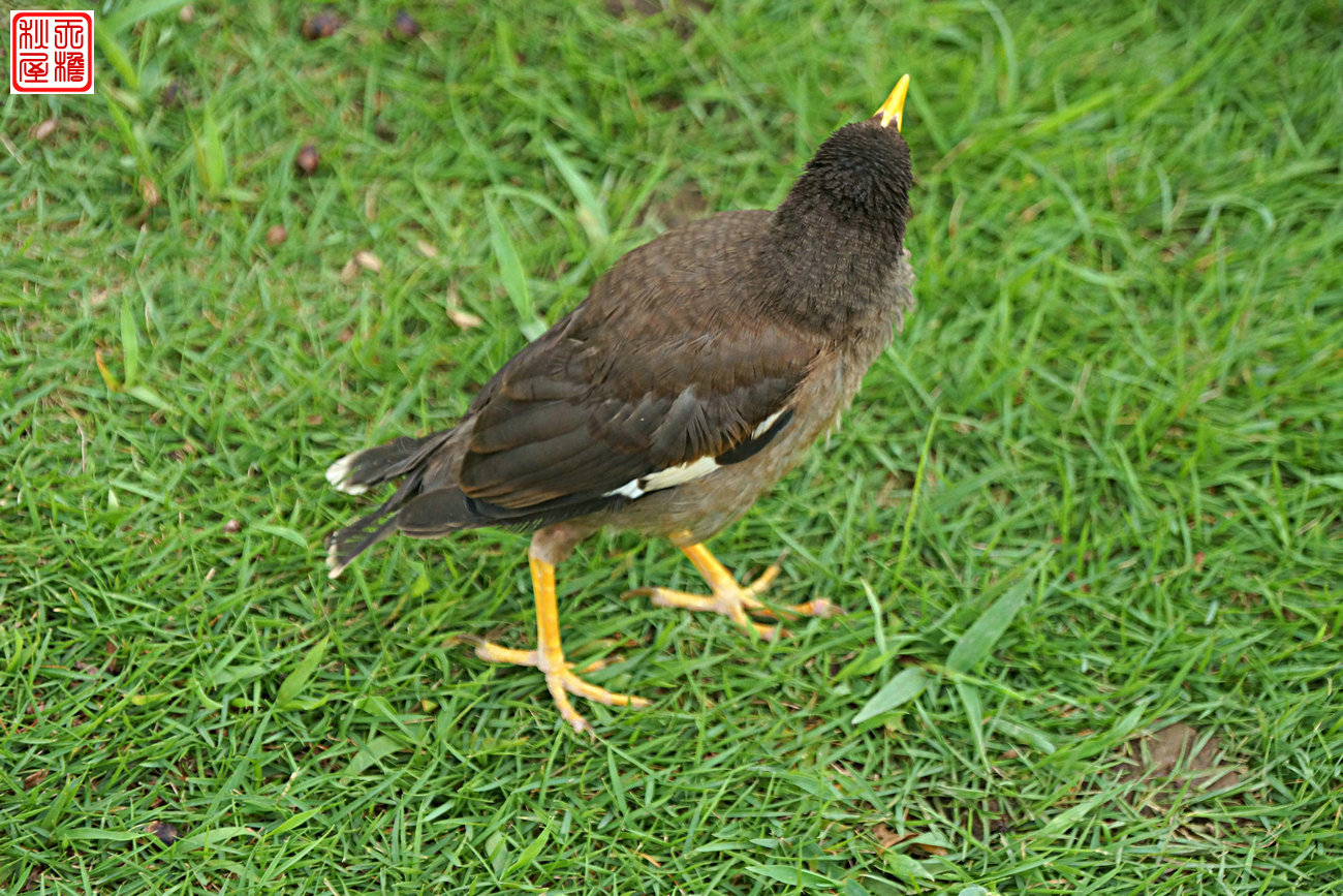 DSC08753.JPG