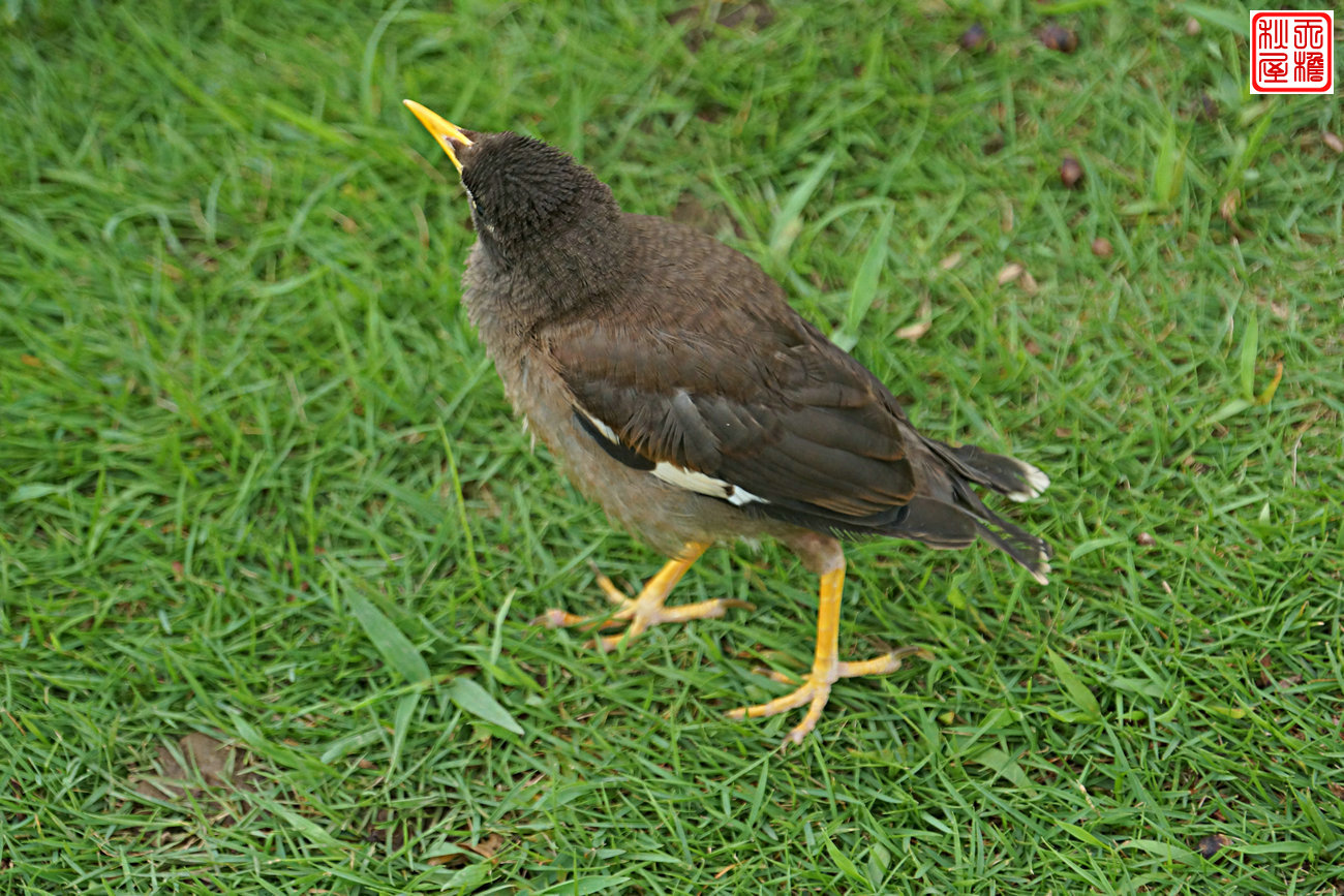 DSC08754.JPG
