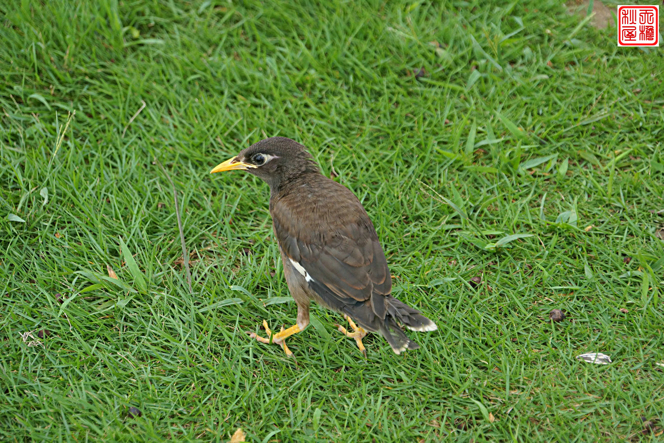 DSC08759.JPG