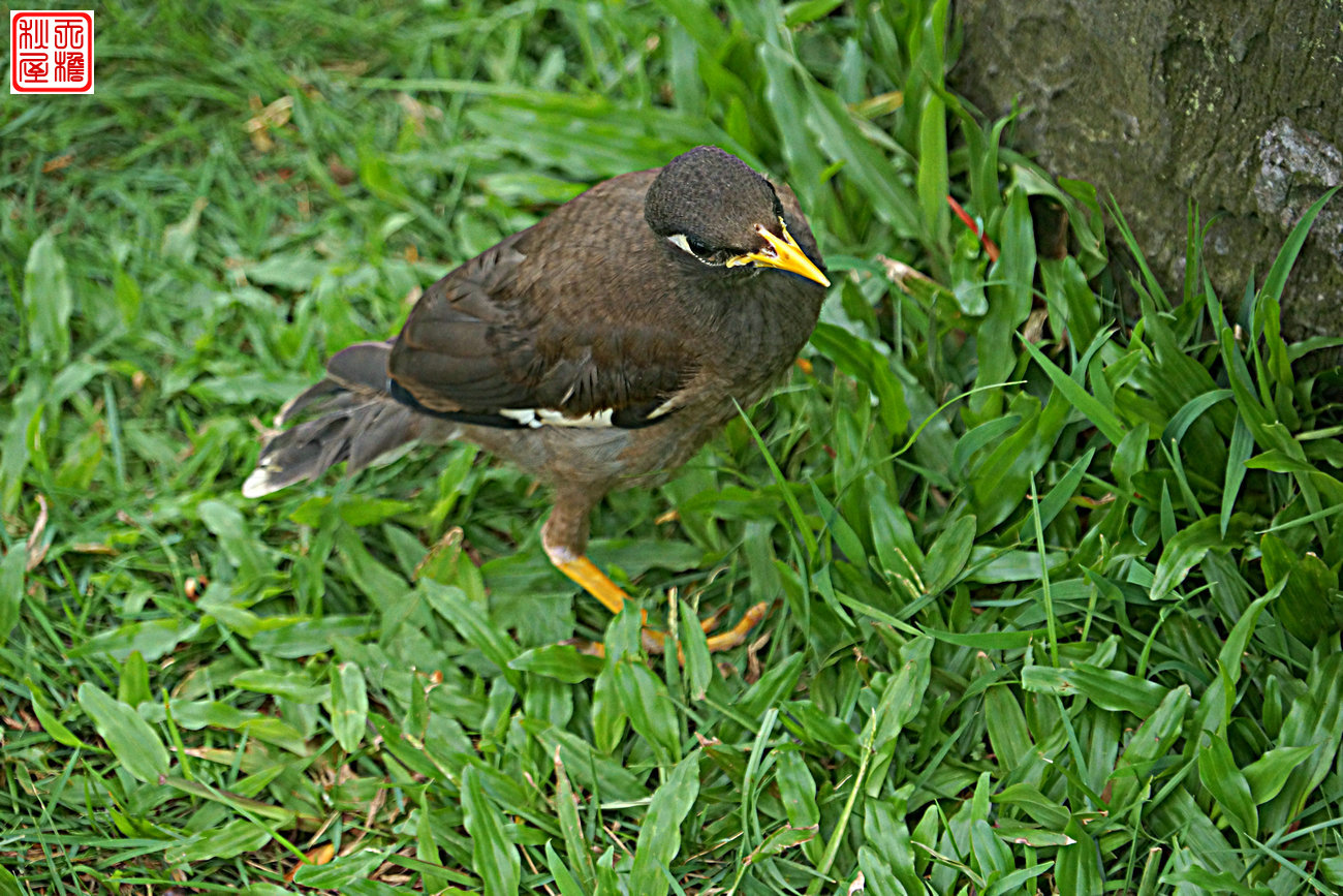 DSC08774.JPG
