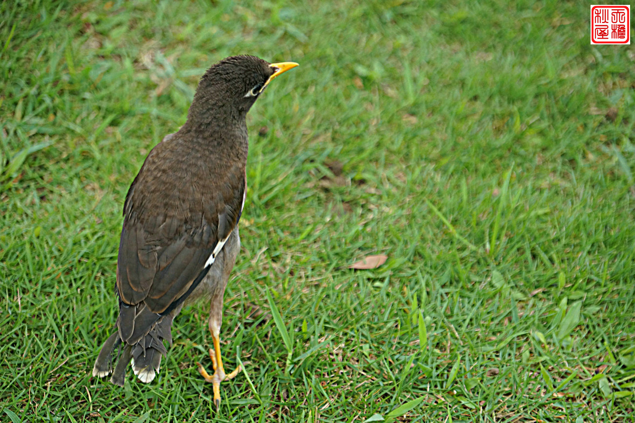 DSC08791.JPG