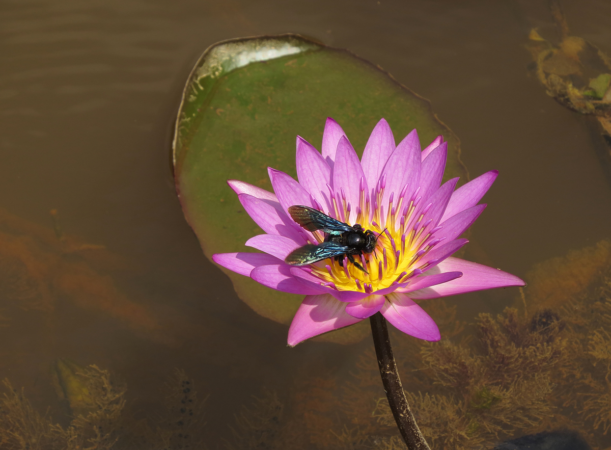 DPP_0009.JPG