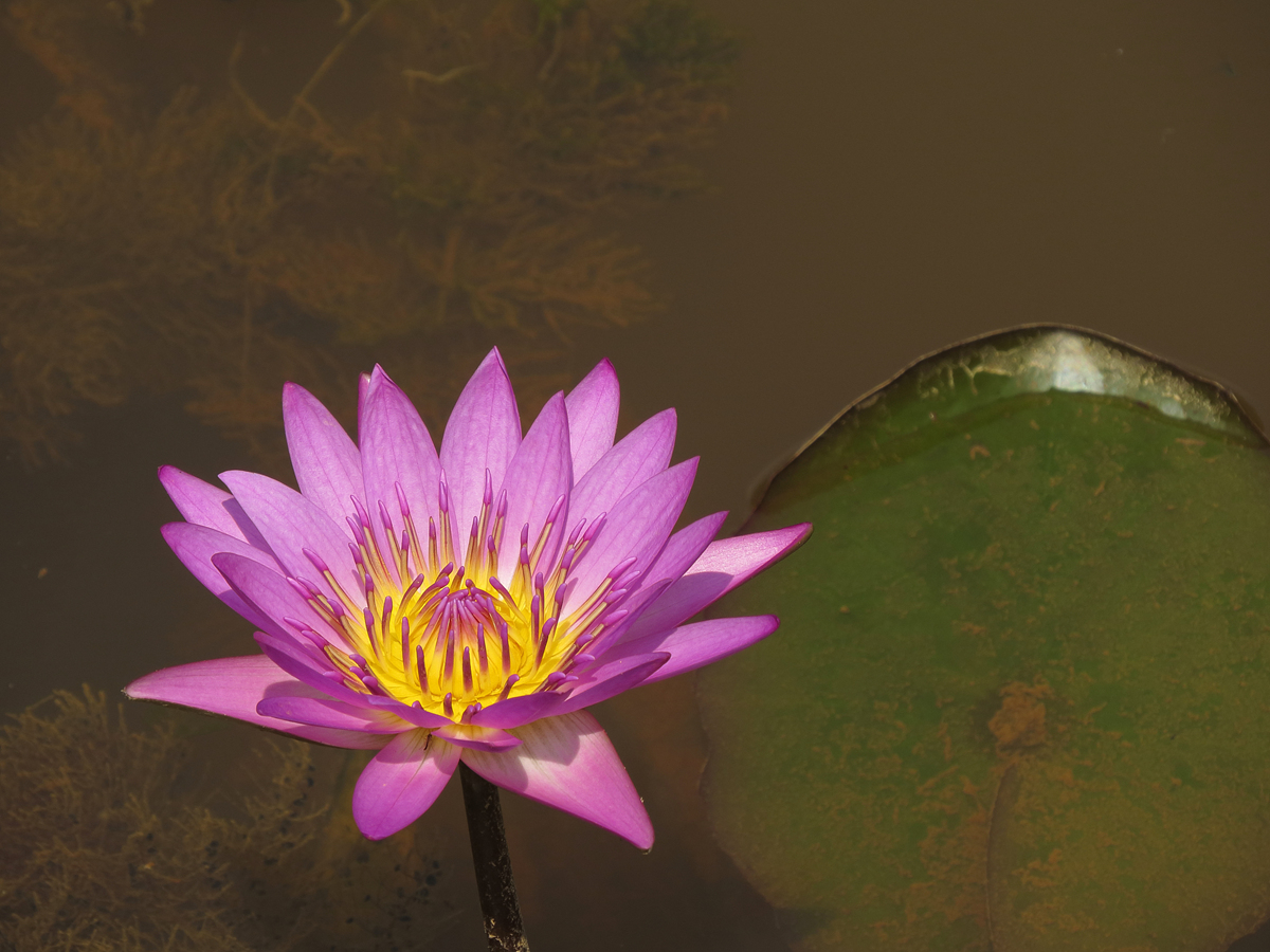 DPP_0014.JPG