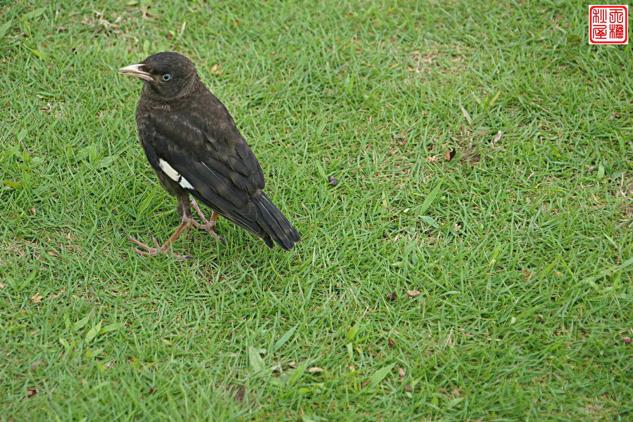 DSC08809.JPG
