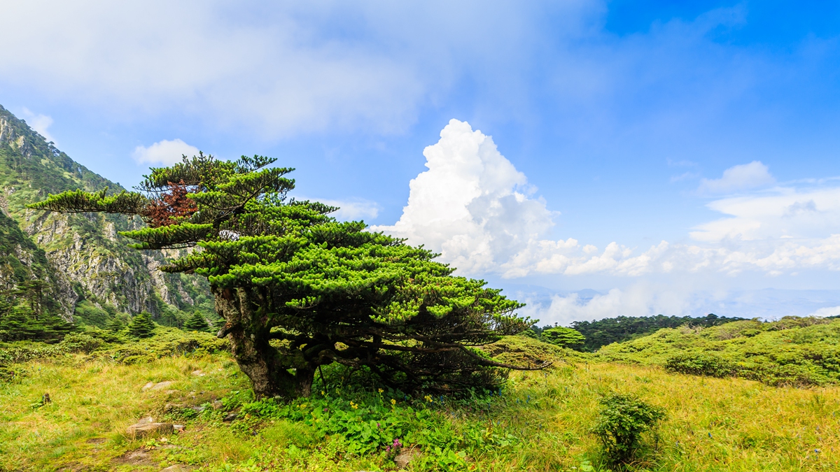 苍山-7_副本.jpg