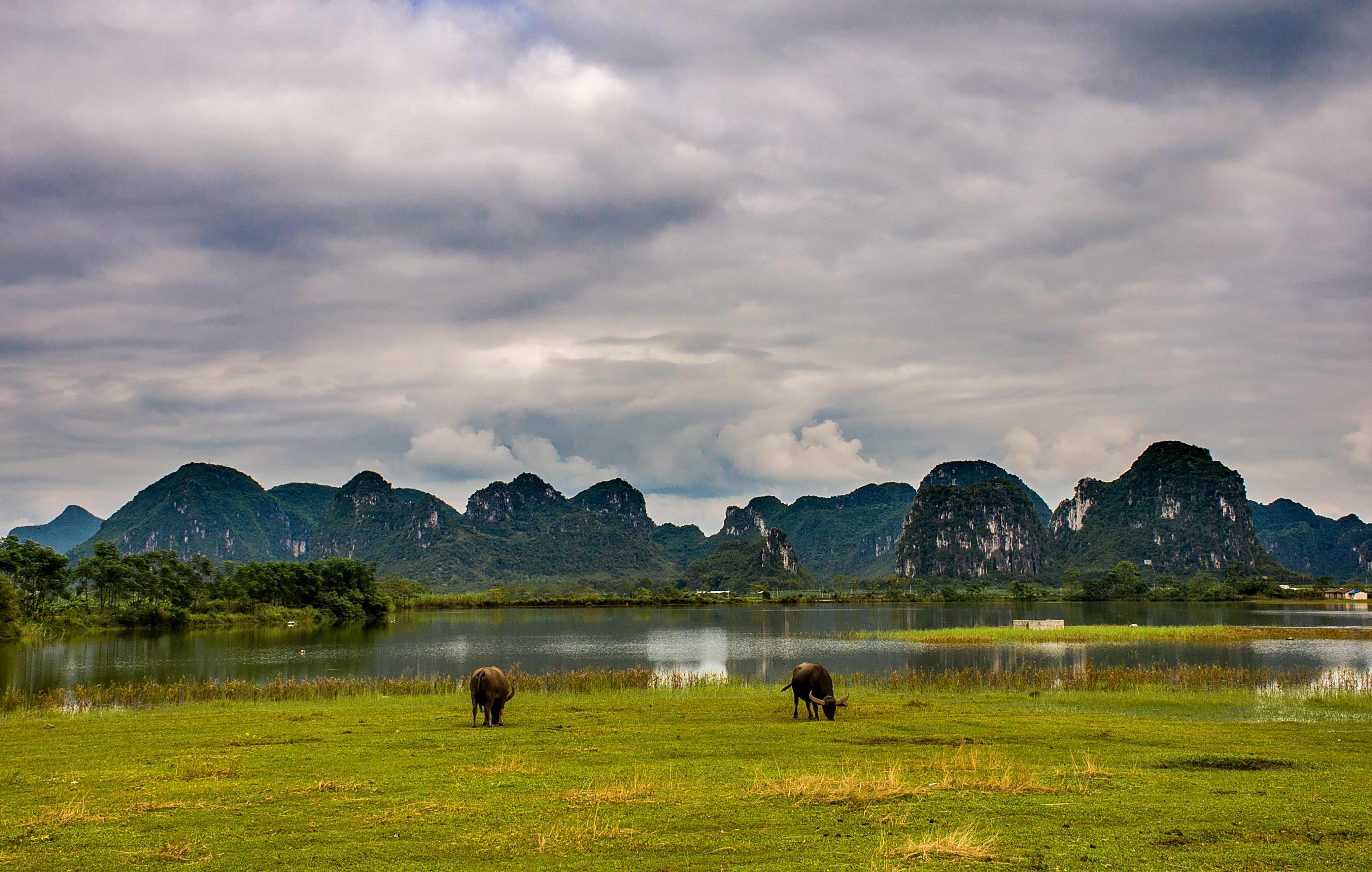 DSC_8891_dh_副本.jpg