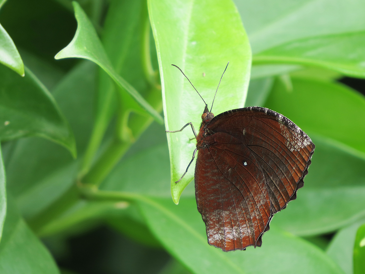 DPP_0012.JPG