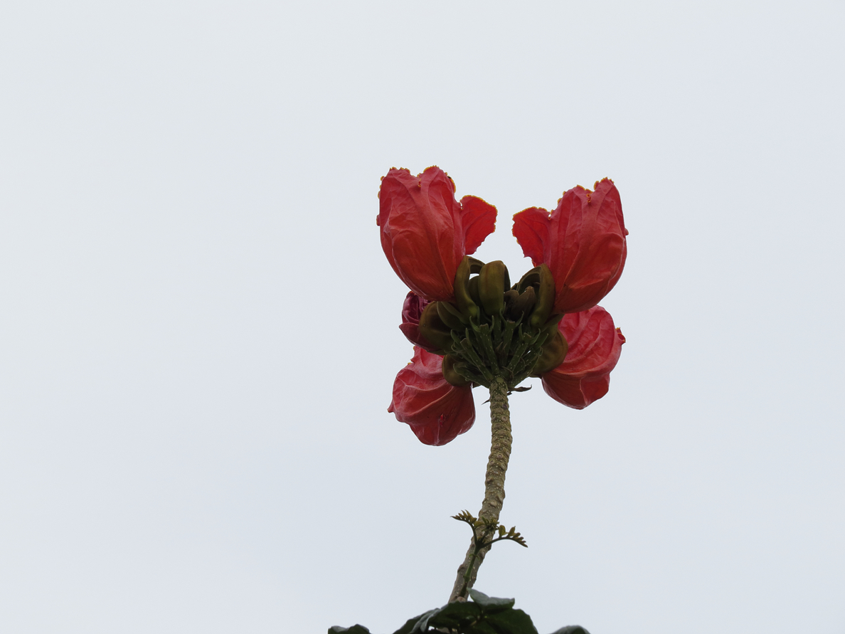 EDPP_0008.JPG