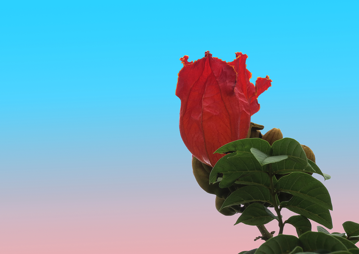D未标题-2.jpg