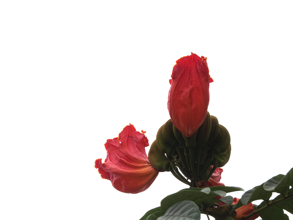 GDPP_0006.JPG