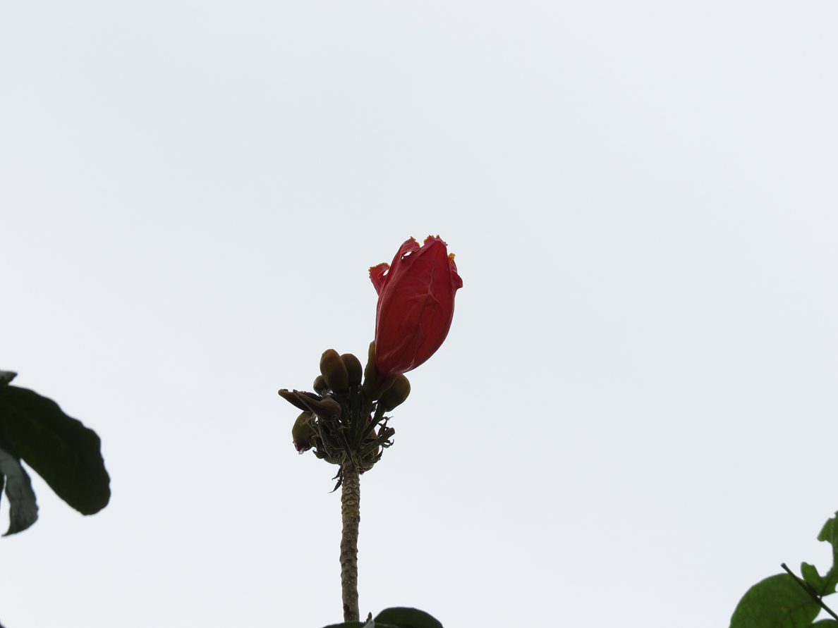 IDPP_0010.JPG