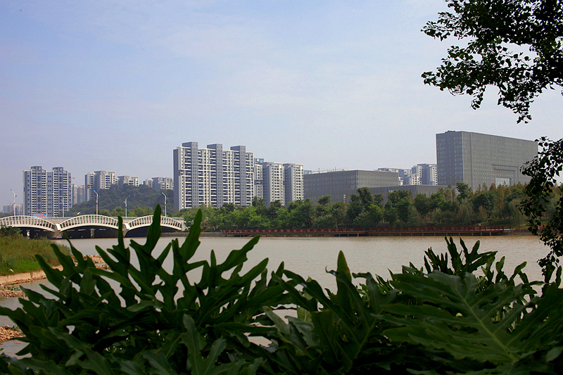 IMG_4185_副本.jpg