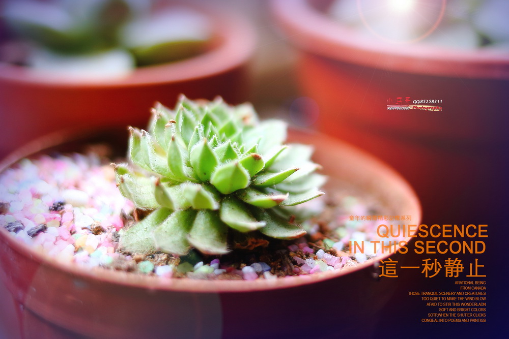 IMG_9865a_副本_调整大小.jpg