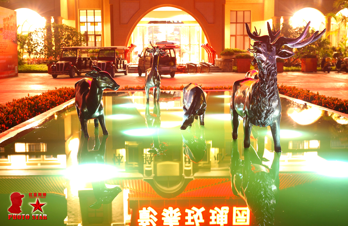 玫瑰精品t(6).jpg