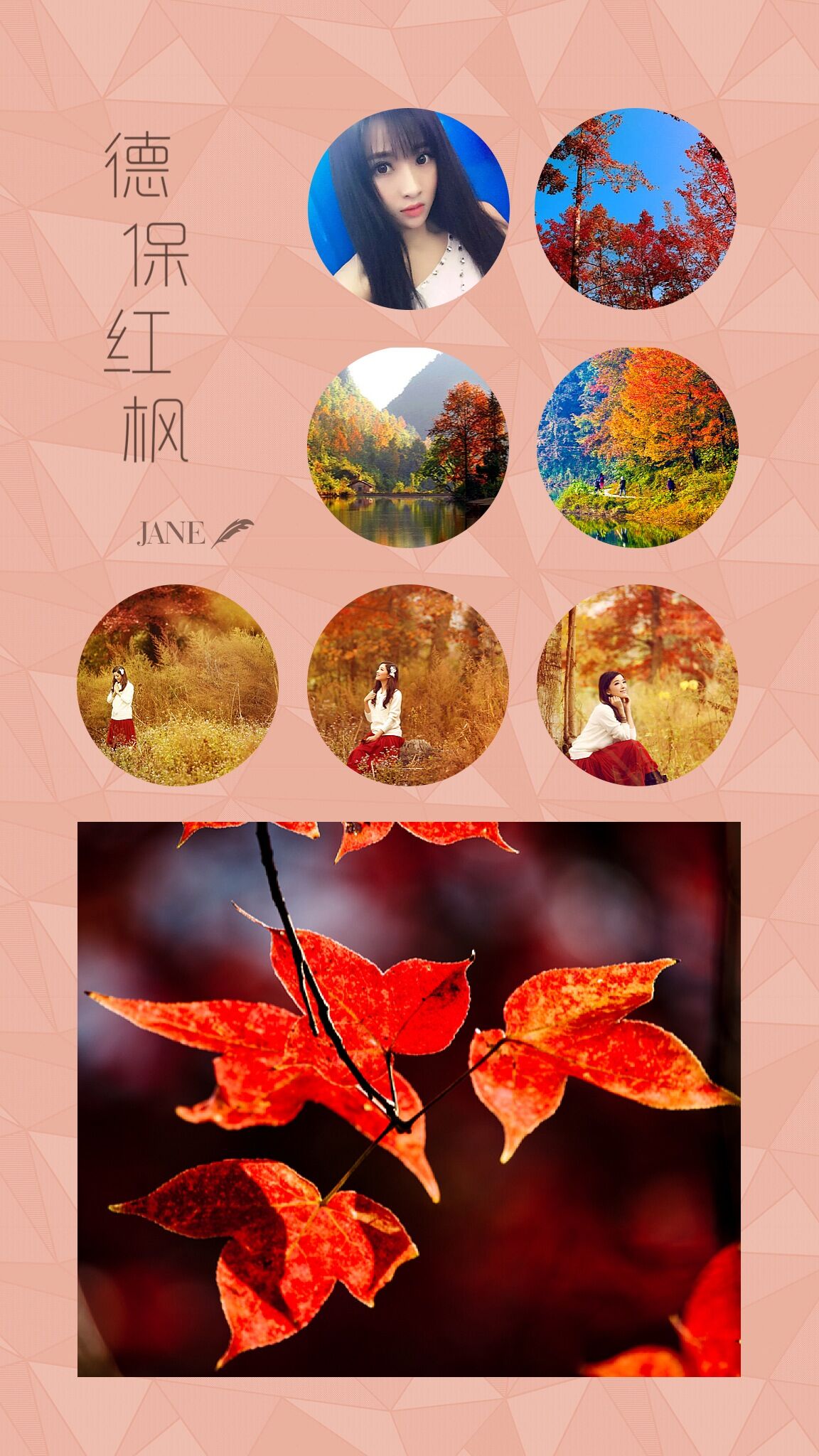 QQ图片20151208185804.jpg