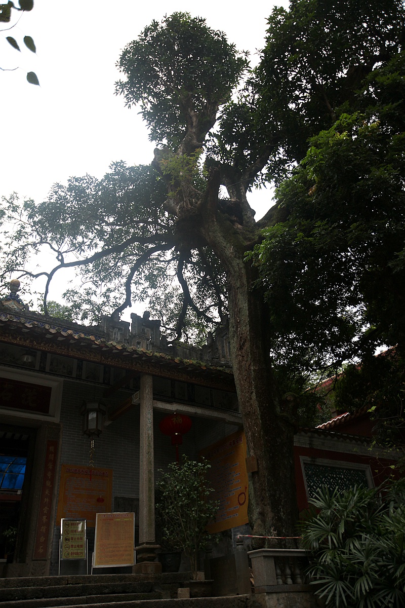 IMG_0421_副本.jpg