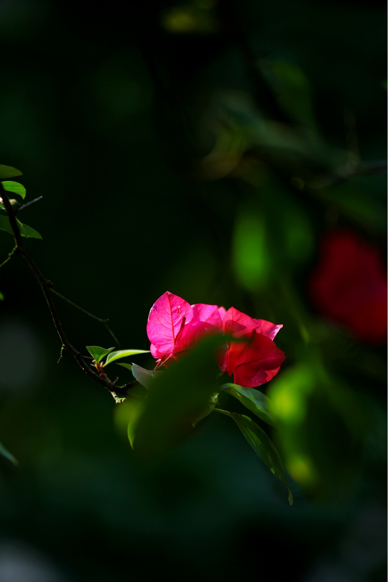 IMG_0575_副本.jpg