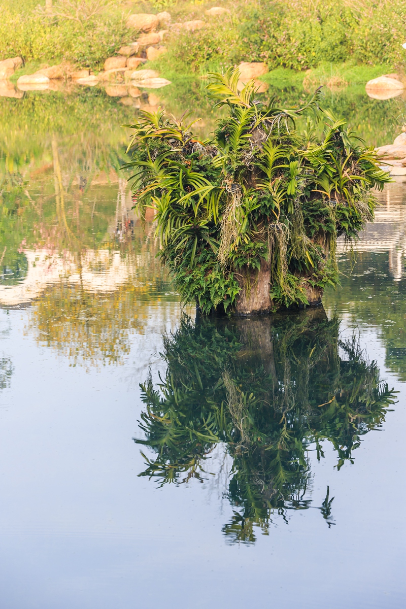 青秀山瑶池仙境-1.jpg