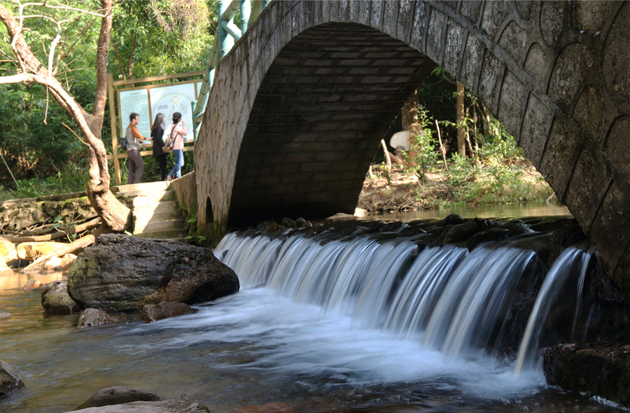 DPP_0007.JPG