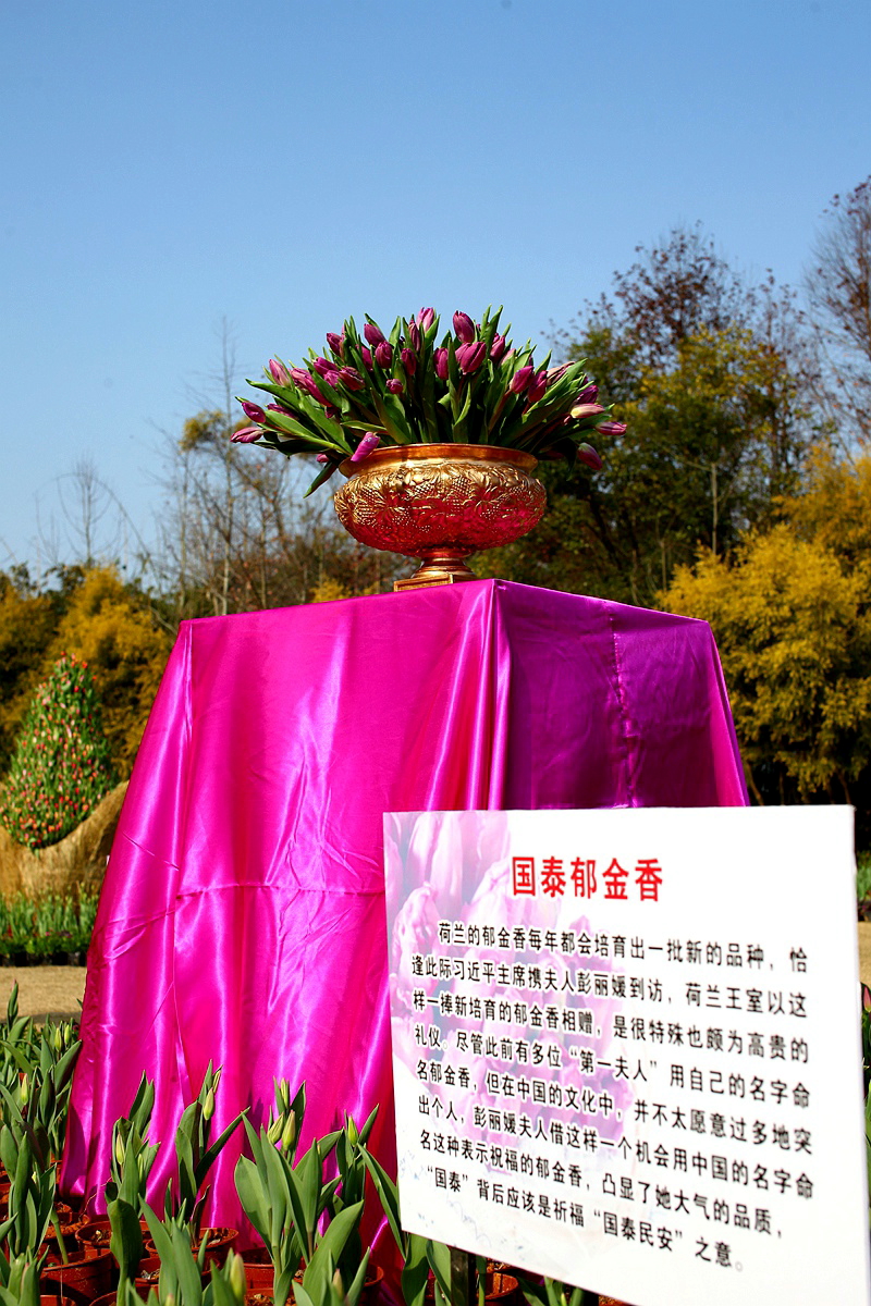 IMG_2821_副本_dh.jpg