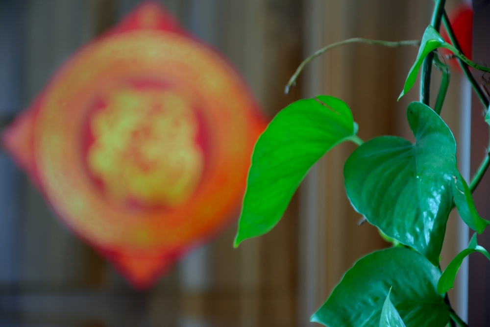 春之福