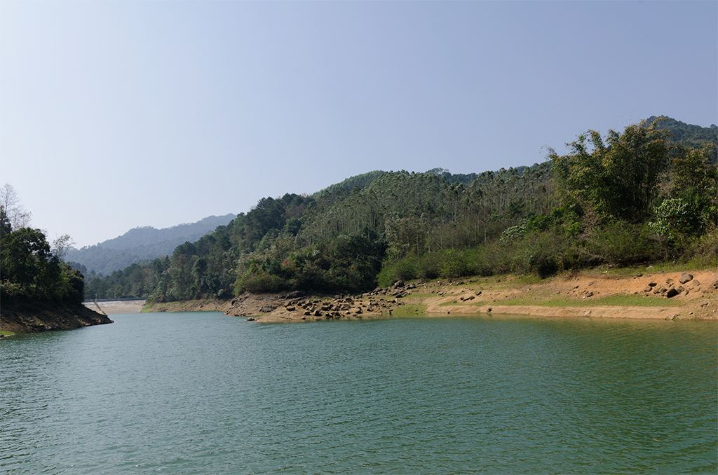 _DSC9785.jpg