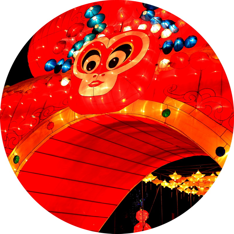 精品花灯 (13).jpg