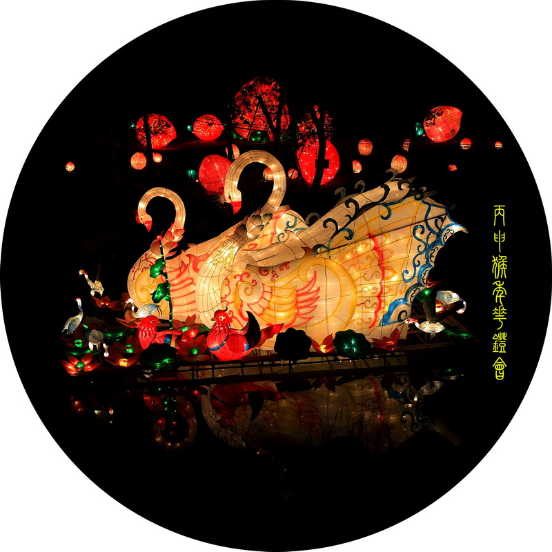 精品花灯 (6).jpg