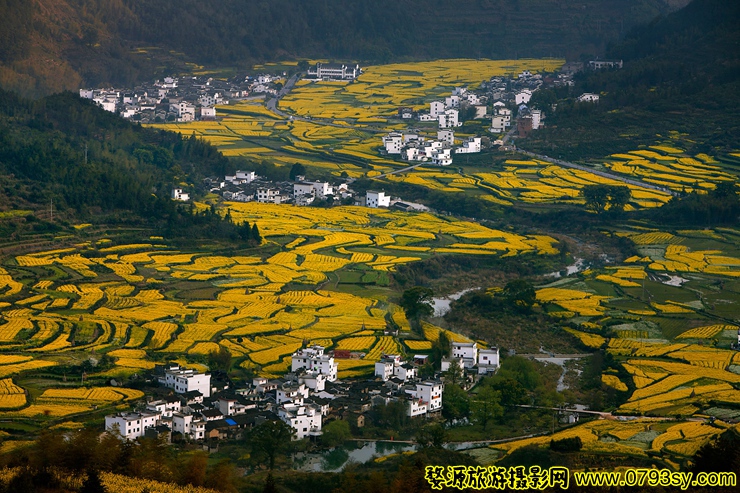 江岭2_副本.jpg
