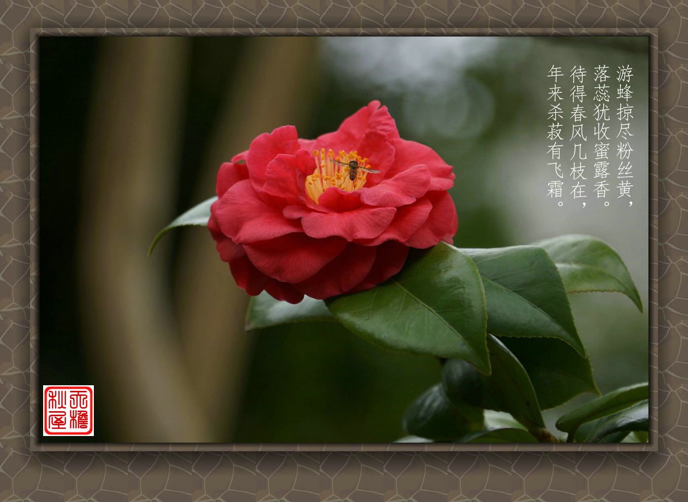 DSC02305_副本.jpg