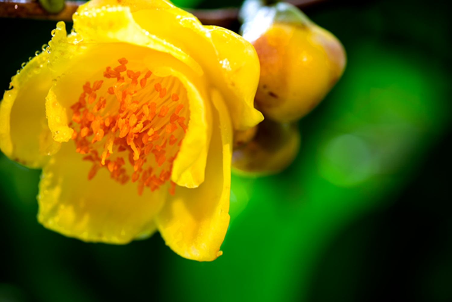 DSC_1625.jpg