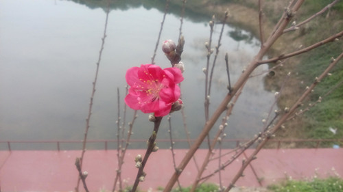 IMG_20160221_102643_副本.jpg