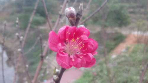 IMG_20160221_102656_副本.jpg