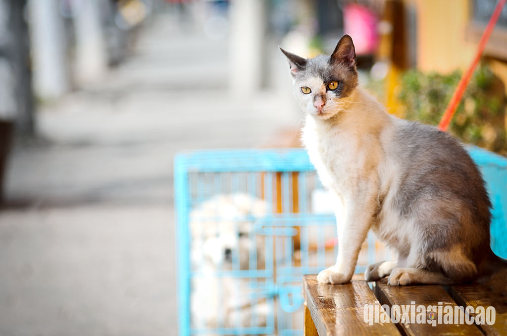 IMGP8430_DxO-编辑_副本.jpg