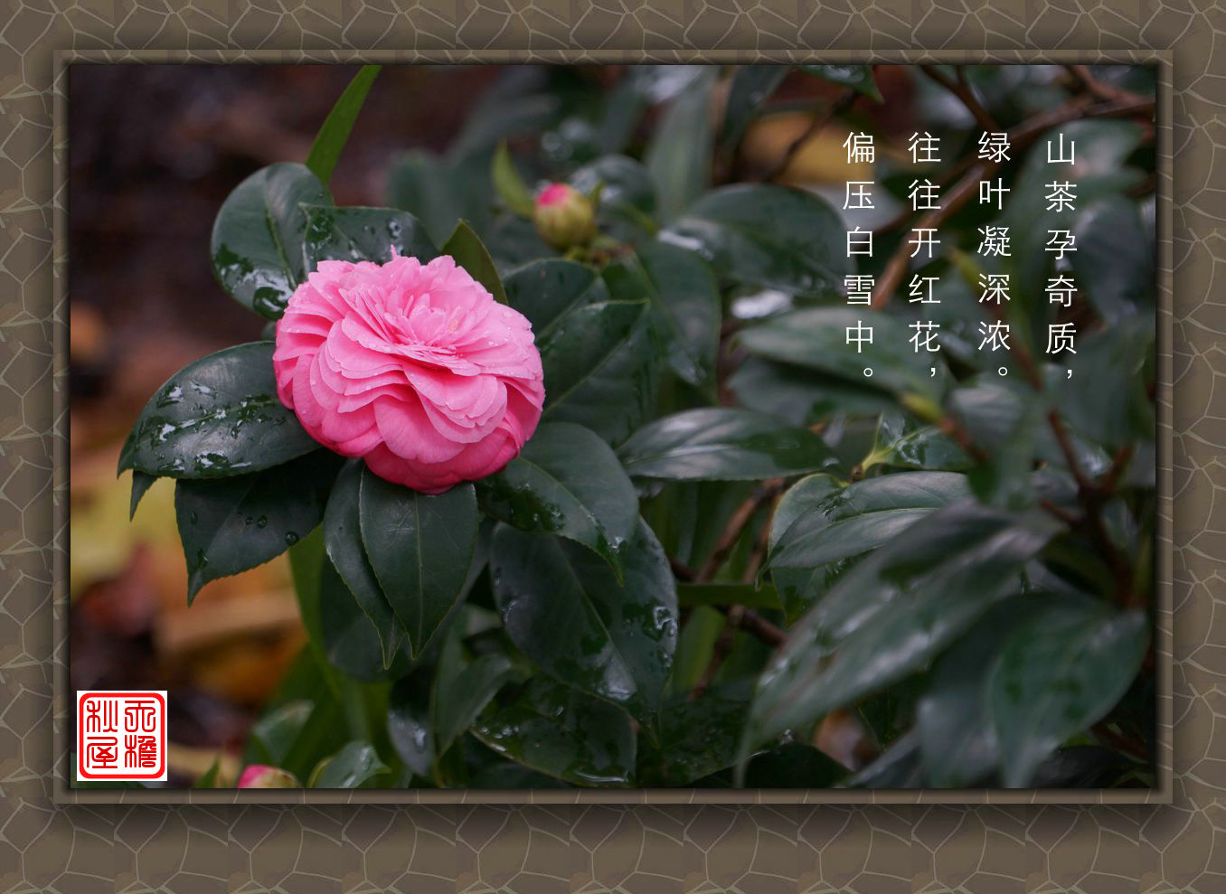 DSC02613_副本.jpg