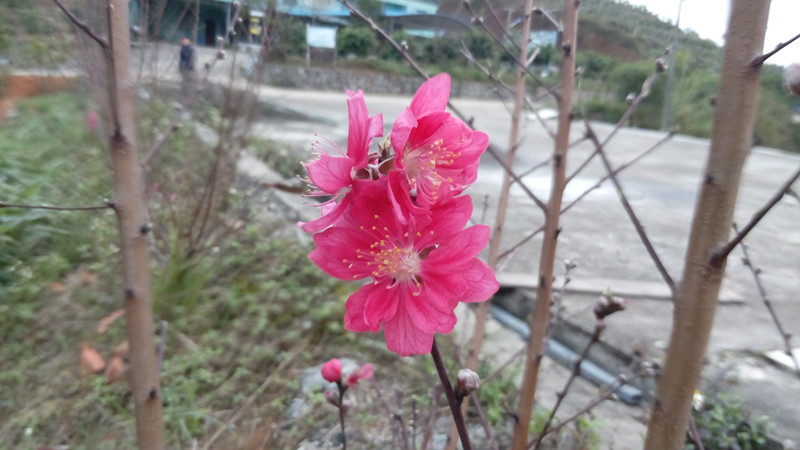 IMG_20160226_102617_副本.jpg
