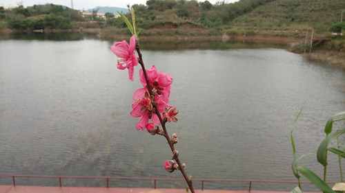 IMG_20160226_102654_副本.jpg