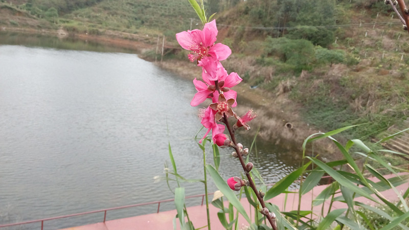 IMG_20160226_102707_副本.jpg