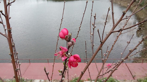 IMG_20160226_102758_副本.jpg