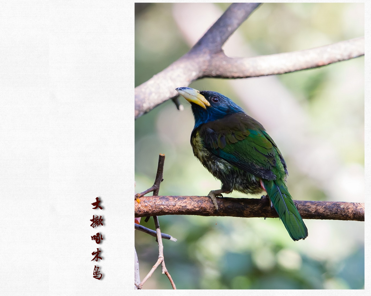 “_MGL3736”为智能对象-2.jpg