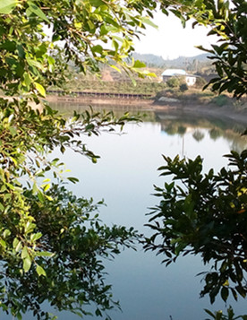 IMG_20160229_171534_副本.jpg