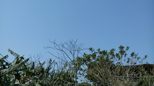 IMG_20160301_101605_副本.jpg